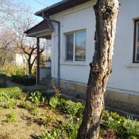 Къща с двор в село Градец, Видин., снимка 3 - Къщи - 45157009