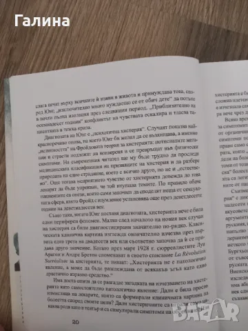 К.Г.Юнг  Сабина Шпилрайн, снимка 6 - Художествена литература - 48460023