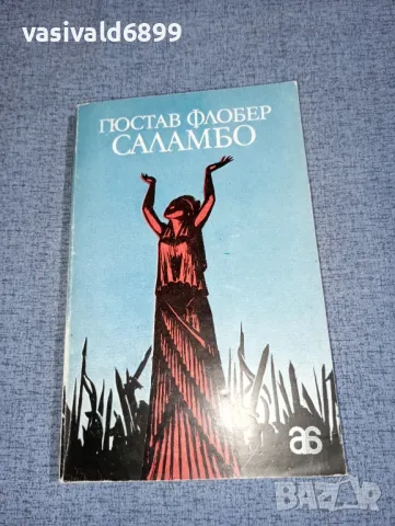 Гюстав Флобер - Саламбо , снимка 1 - Художествена литература - 47165535