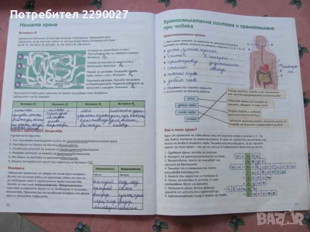 Учебна тетрадка по Човекът и природата за 5 клас - попълнена, снимка 4 - Учебници, учебни тетрадки - 51735730