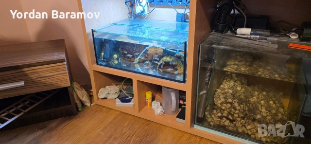 аквариум с всичко към него с рибките , снимка 2 - Аквариуми - 53377385