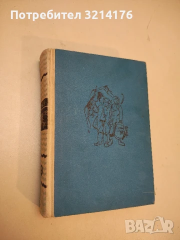 Дон Кихот де ла Манча. Част 1 - Мигел де Сервантес, снимка 2 - Художествена литература - 50986399