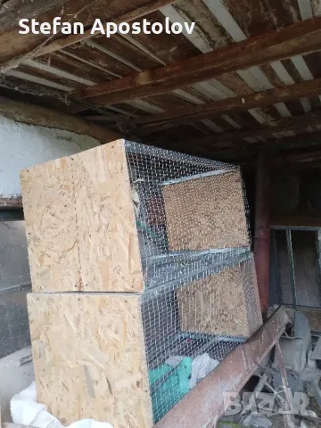  Калифорнийски зайци, снимка 14 - Други - 38133793