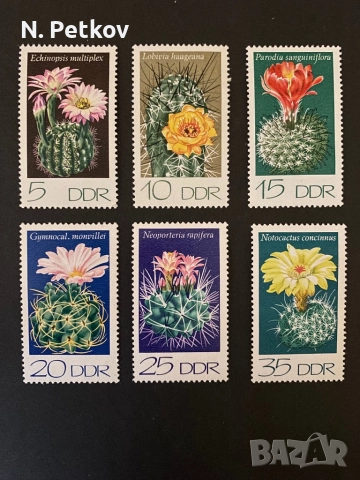 Германия (ГДР), Кактуси