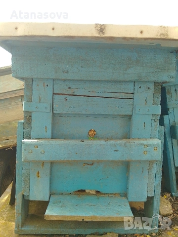 Пчелни кошери от военни сандъци