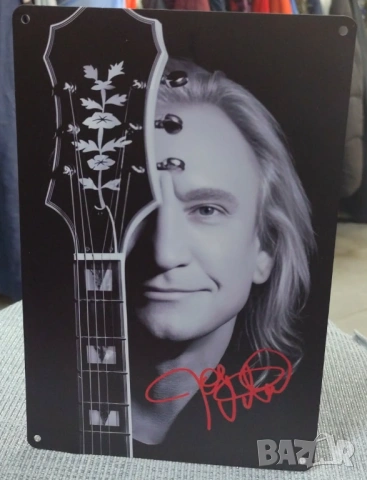 Joe Walsh Signature-метална табела(плакет)