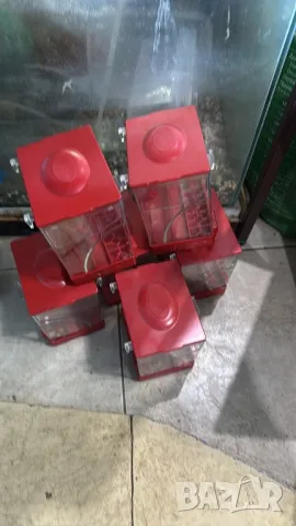 Автоматични хранилки за птици , снимка 4 - За птици - 49653315