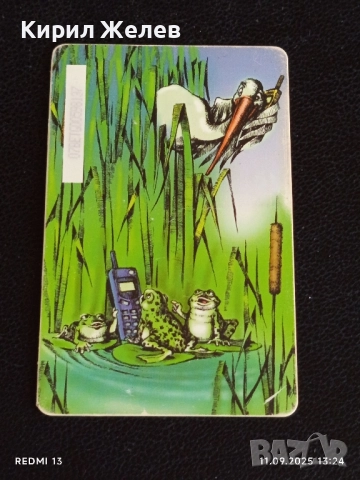 Две фонокарти МОБИКОМ тема АНИМАЦИЯ редки за КОЛЕКЦИЯ 13608, снимка 3 - Колекции - 51677937