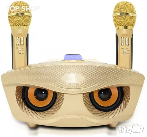 Нова Караоке машина Високоговорител с 2 безжични микрофона за парти