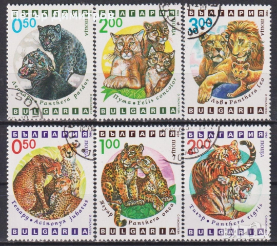 Чисти марки Фауна Птици Сови Хищници Кораби 1992 от България, снимка 9 - Филателия - 52621912