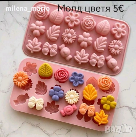 Нови молдове 3, снимка 4 - Други - 54113042