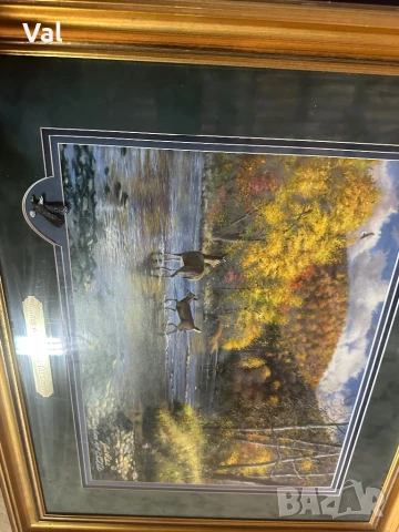 Картина , снимка 3 - Картини - 50796451