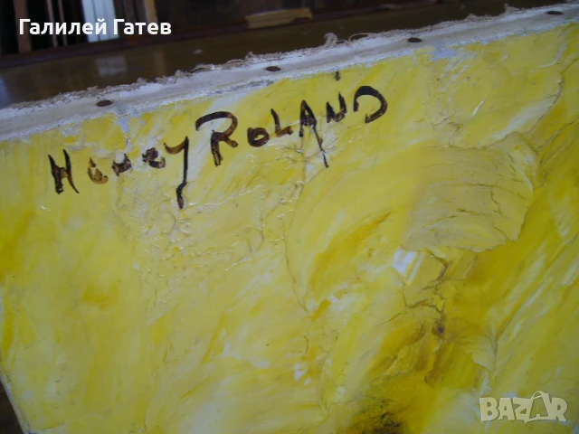 Колекция Маслени Картини, снимка 13 - Картини - 45454339