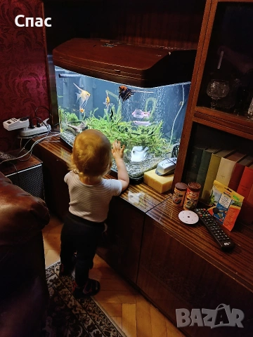 Аквариум 80 литра, снимка 5 - Аквариуми - 53560315