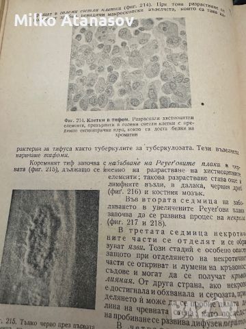 Обща патология -Боян Кърджиев ,1955, снимка 11 - Специализирана литература - 45384490