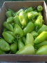 всеки ден прясно откъснати чушки черна капия и зелени , снимка 3