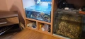 аквариум с всичко към него с рибките , снимка 2