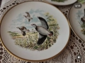 Английски чинии от серията”Птици на провинцията“. фин костен порцелан.  „Червенокраката яребица“ , снимка 2