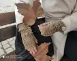 Handmade дамски ръкавици без пръсти с лого, снимка 17
