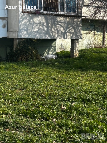 Продава , снимка 1