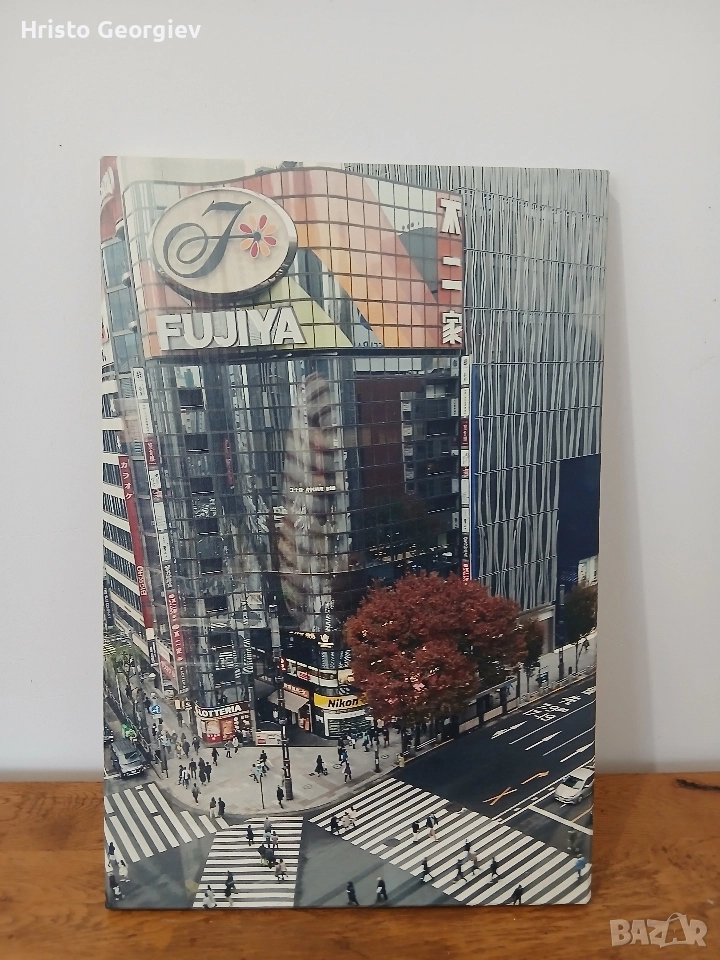 Снимка Картина Токио , снимка 1