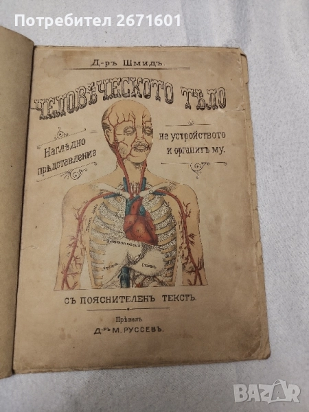 "ЧЕЛОВЕЧЕСКОТО ТЕЛО", написана от д-р Шмид. 1899 г, снимка 1