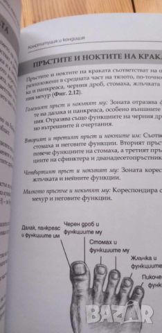 Вашето тяло никога не лъже. Пълно ръководство по източна диагностика, снимка 6 - Специализирана литература - 45822444