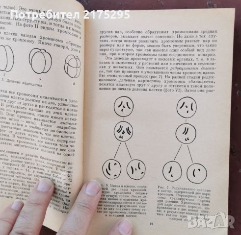 "Наследственост"-генетика за начинаещи-на руски-1969г., снимка 5 - Специализирана литература - 46234017