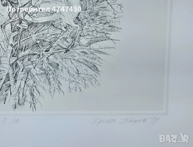 Христо Панев литография портрет, снимка 4 - Картини - 53616960