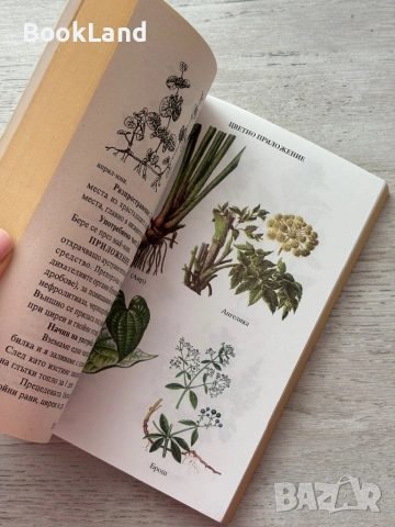 Лековити билки| Как народът се лекува , снимка 11 - Други - 53200270