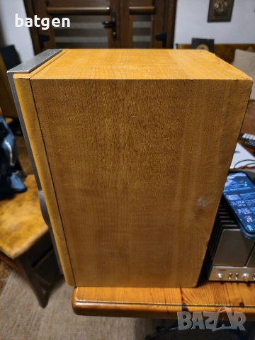 Sony ss-nx1, снимка 5 - Тонколони - 51955620