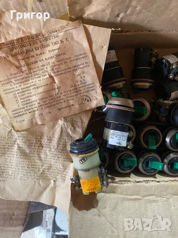 Бутони, снимка 1