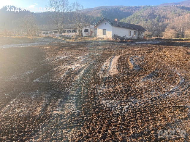 Продажба на имение в урбанизирана територия., снимка 4 - Производствени сгради - 43732846