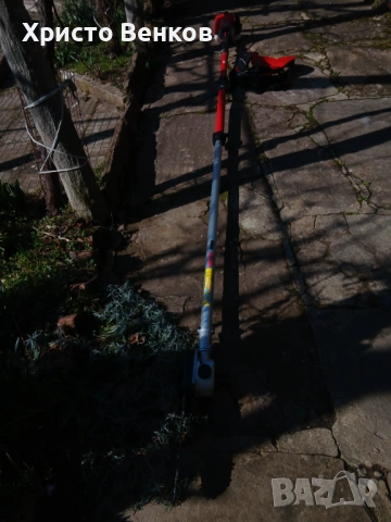 кастрачка на високи клони