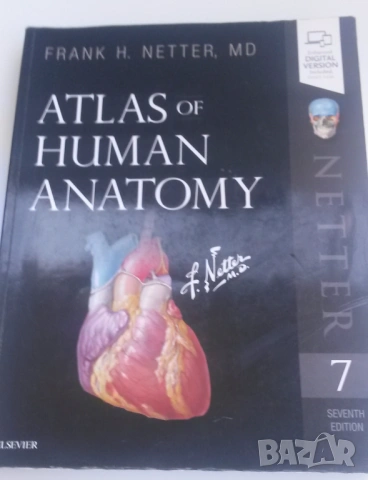 Атлас по анатомия - Atlas of Human Anatomy - Frank H. Netter, MD, 7-мо издание, снимка 2 - Учебници, учебни тетрадки - 54084472