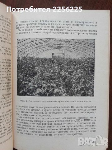 Производство на зеленчуци в пластмасови съоръжения, снимка 5 - Специализирана литература - 51047115