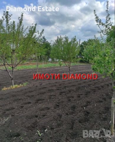 Парцел в село Малко Асеново, общ. Димитровград, снимка 3 - Парцели - 46482988