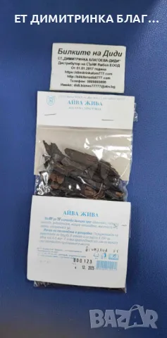 АЙВА ЖИВА при изкълчено, набито, шипове, ревматизъм, нощно напикаване, мастни бучки, циреи, изгаряне, снимка 3 - Други - 49746330