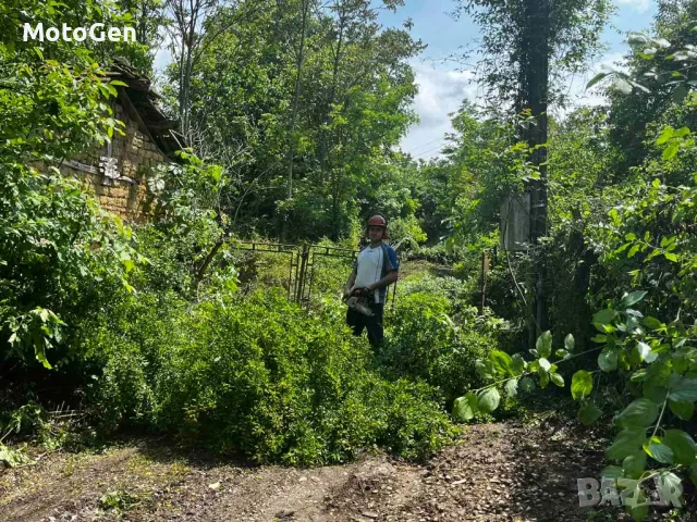 Премахване на опасни дървета Област Велико Търново , снимка 7 - Други почистващи услуги - 46972030