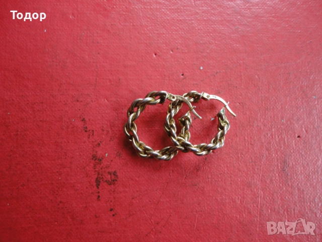 Невероятни позлатени сребърни обеци 925, снимка 8 - Обеци - 54081647