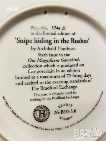 порцеланова чиния за стена 6 , снимка 3 - Декорация за дома - 51370127