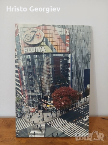 Снимка Картина Токио 