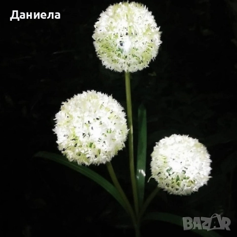 Соларни LED градински светлини , снимка 4 - Изкуствени цветя - 51841743