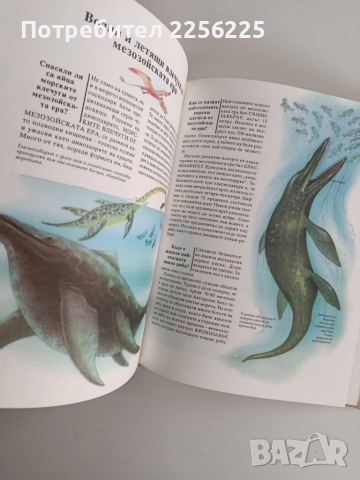 Животните от праисторическата епоха, снимка 3 - Детски книжки - 52214907
