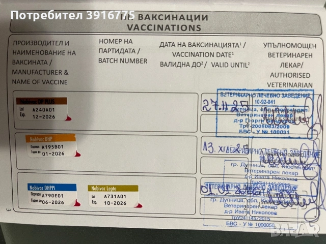 Померан 4-месеца, снимка 9 - Померан - 53490971