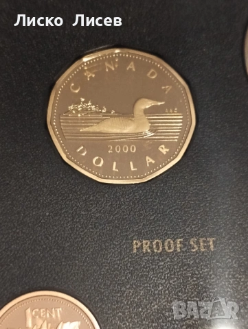 Канада сет мат-гланц 2000г., снимка 3 - Нумизматика и бонистика - 54289831