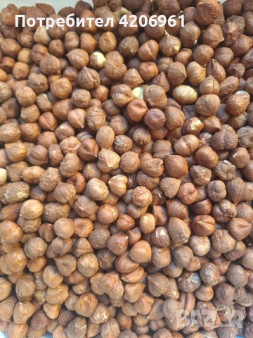 Продавам лешници и шамфъстък на ядка 22лв., снимка 2 - Домашни продукти - 52718065