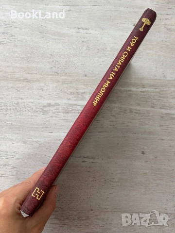 Тор и силата на Мьолнир, снимка 2 - Художествена литература - 54089893