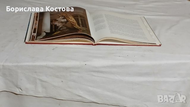 книга за замъците, снимка 5 - Други - 46764950