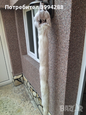 Шал от сребърна бяла лисица